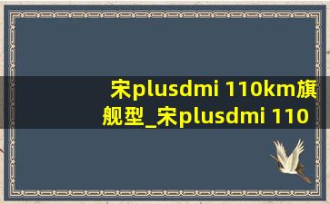 宋plusdmi 110km旗舰型_宋plusdmi 110km旗舰型落地